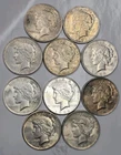 10 Peace Silver Dollars - 10 Coin Lot - SKU03