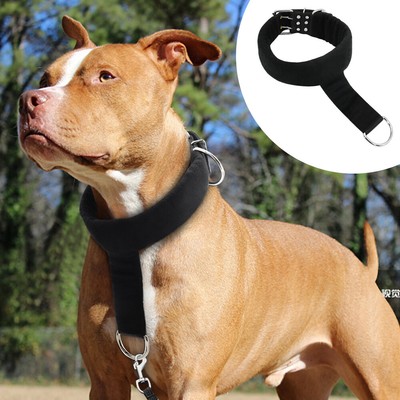 strong leash for pitbull