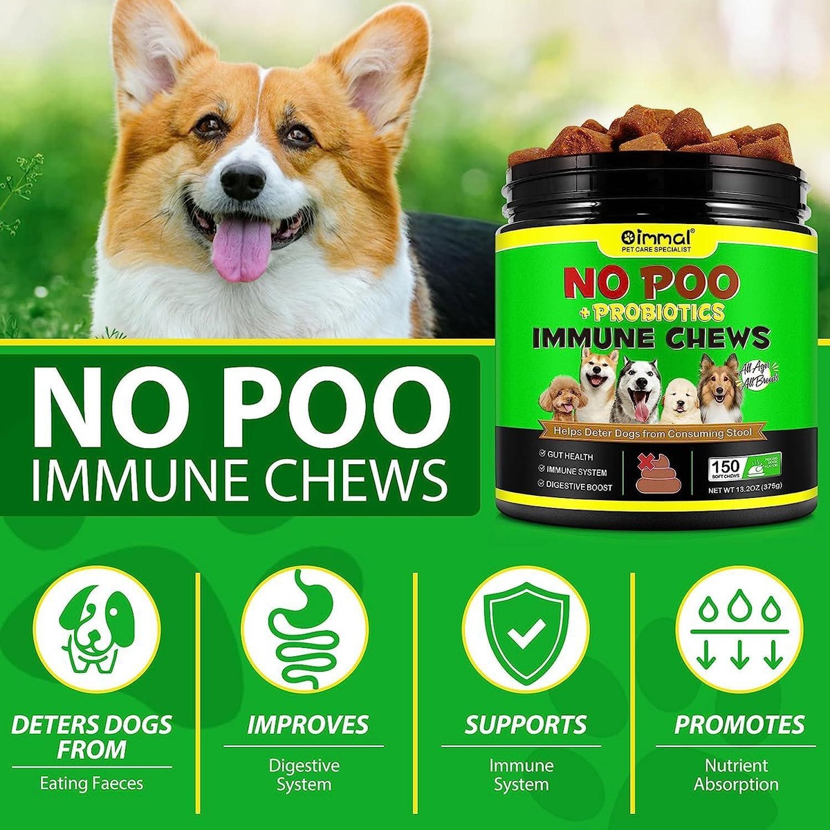 Dog Poo What Can Dogs Eat To Help Them Poop Forbid For Dogs No Poo