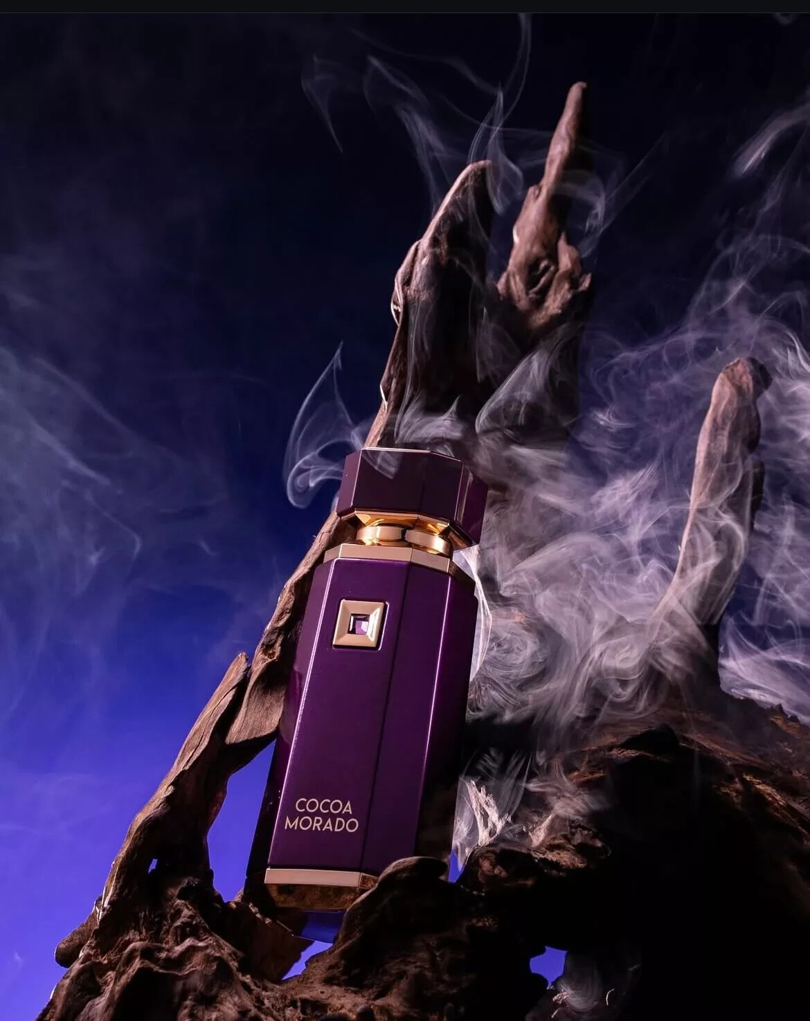 Cocoa Morado 100ML Eau de parfum  By French Avenue.