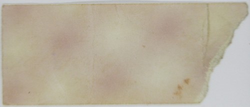 Rush (Feb. 3, 1980) Concert Ticket Stub Convention Center Arena San Antonio, TX - Picture 2 of 2