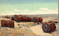 1940 Petrified Forest Arizona Drift Logs C.T. Art-Colortone Postcard