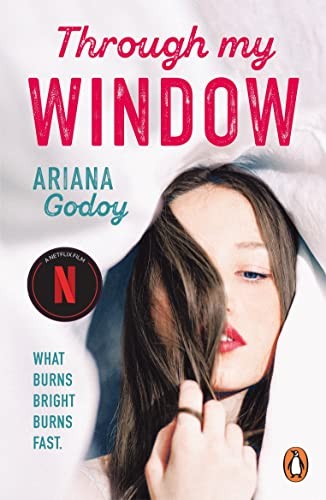 Through My Window: The million-copy bestselling Netflix sensatio - Bild 1 von 1
