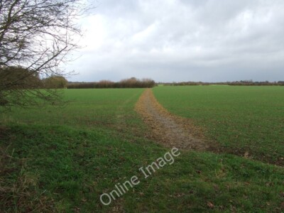 Photo 6x4 Marked Footpath Gulling Green Marked footpath much clearer than c2012