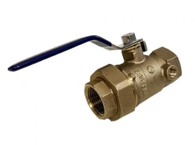 1'' FPT Union Ball Valve Tapped Test Port Lead Free Backflow PVB 1 in Febco Watts