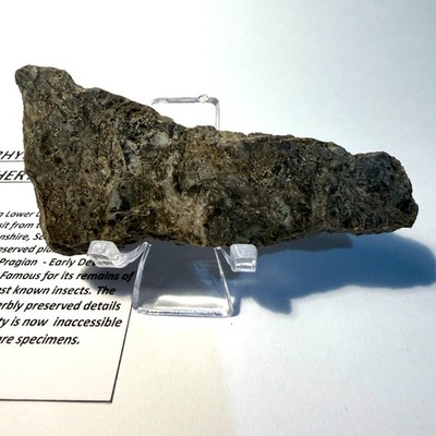 Rhynie Chert Devon Periode Schottland RC 13