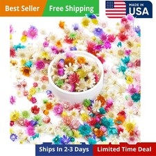300Pcs Natural Pressed Dried Flowers Resin, Dry Flowers for Resin Accessories, D