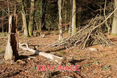 FOTO KINDERSPIELCAMP IM WALD VON DEAN GELEGENTLICH GRUPPIEREN KINDER