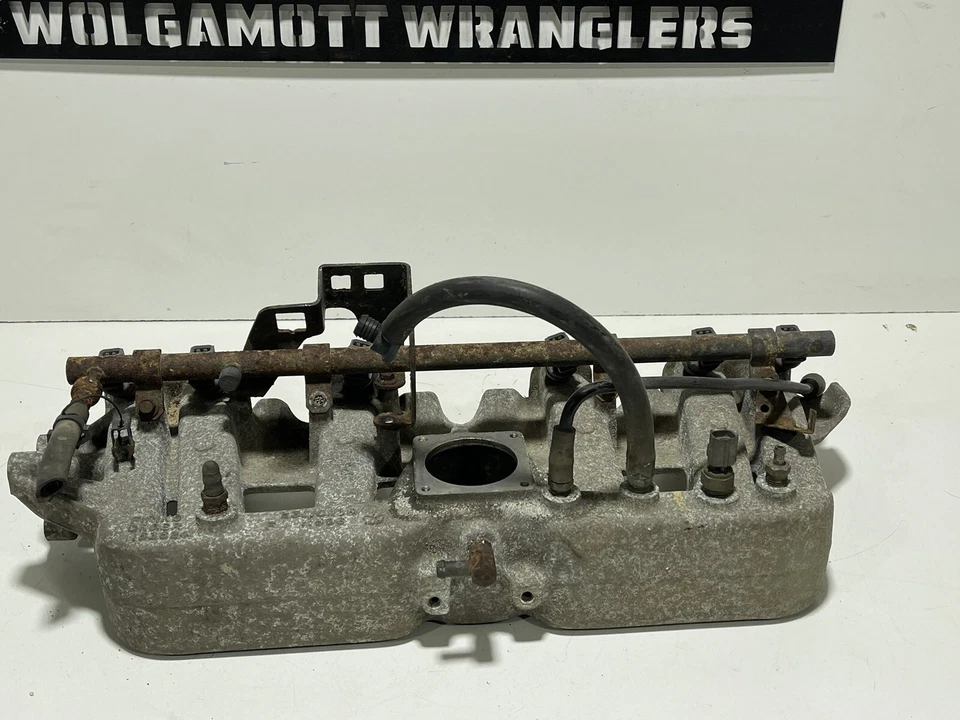 Jeep Wrangler TJ 1997-1998 4,0 colector de admisión OEM 6 cilindros inyector de riel de combustible Foto 2 de 4