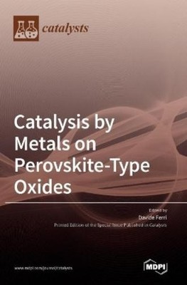 Davide Ferri Catalysis by Metals on Perovskite-Type Oxides (Gebundene Ausgabe)