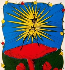 Grateful Dead Car Window Decal 1980s Shocked Skeleton Dances On Magic Mushrooms