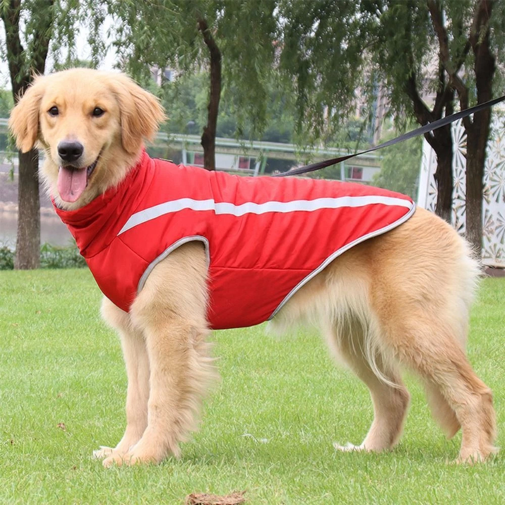 Outdoor dog clearance jacket