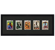 Card Frame Display five opening to fit a P70, Project 2020, or Project 100 Slab