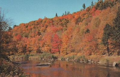 #ad Autumn Hillside Eau Claire Wisconsin Fall Colors River Vintage Chrome Post Card $10.35