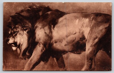 Postcard Study of a Lion in Trafalgar Square London Gallery Panthera leo Big Cat