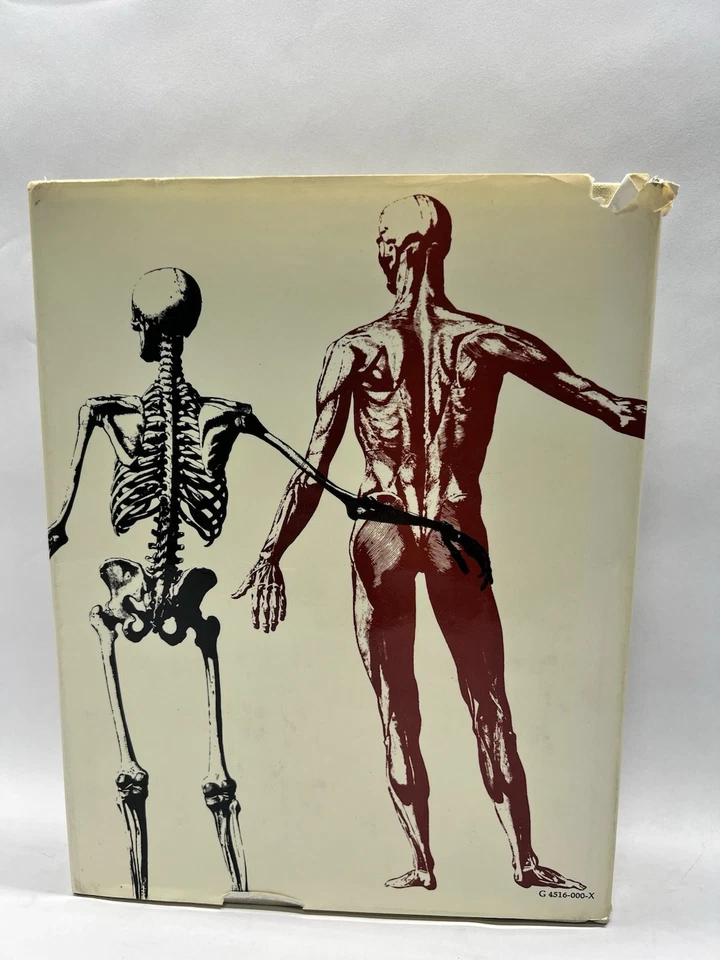 Jack Kramer, Human Anatomy & Figure Drawing. 1st Edition 1972 - Image 2 of 4