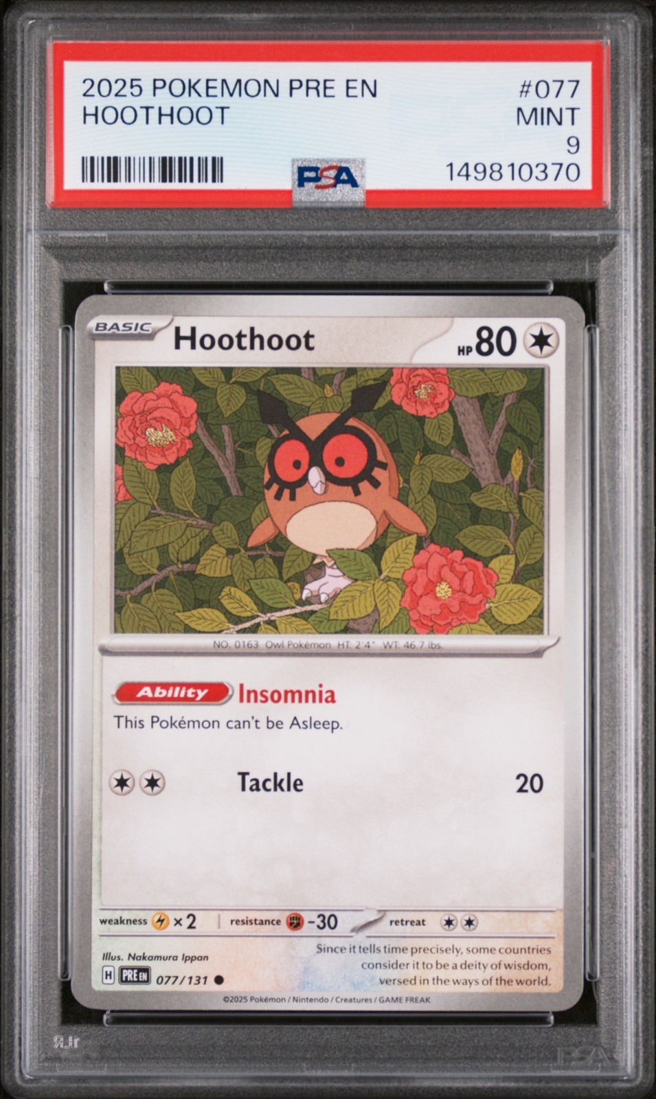 Hoothoot #77