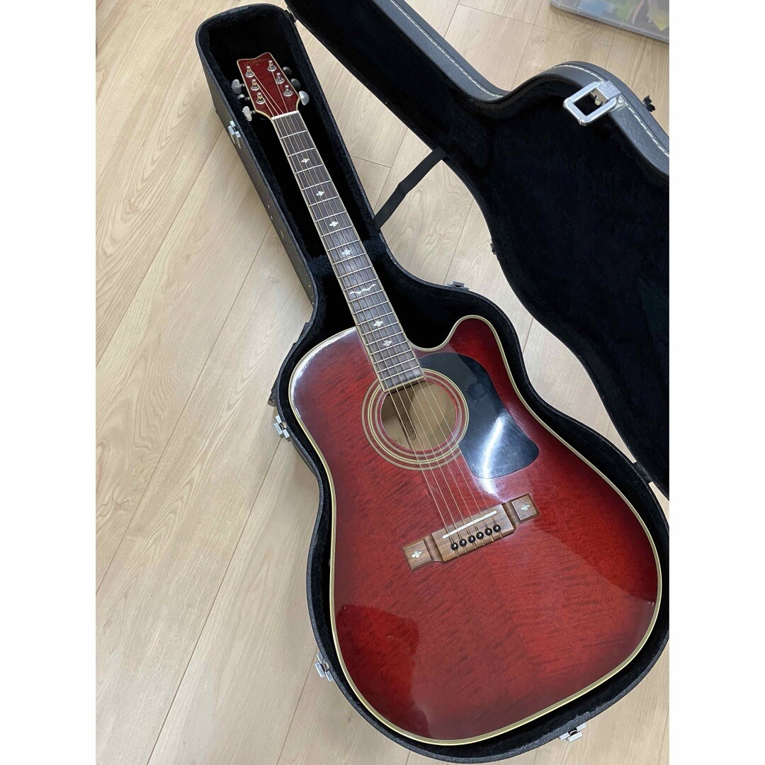 Washburn D-10S/ DLトップ単板♪グローバーペグ♪HC付き！低弦高 Washburn D-10S Acoustic Guitar - YouTube