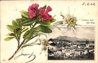 Passepartout Ak Luzern Stadt Schweiz, Gesamtansicht, Rigi - 4532983
