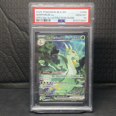 Serperior ex (Special Illustration Rare) - Black Bolt - PSA 10