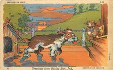 Artist Indiana Comic humor Dog Ray Walters 1942 Postcard Teich linen 9501