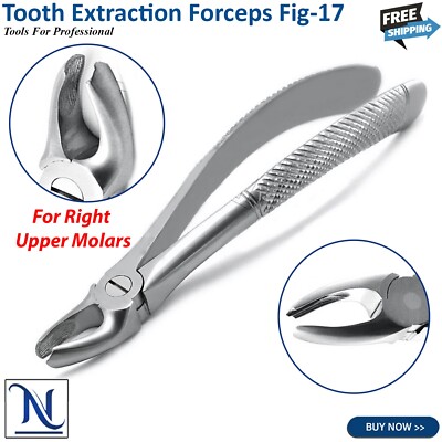Fig 17 Dental Extracting Forceps Surgical Tooth Extraction For Upper Molars New