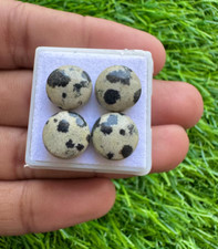 Natural Dalmatian Jasper 10mm Round Shape Cabochon 5pcs Loose Gemstone Lot