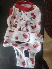 Sugery Abdomen Recovery Suit Small Dog