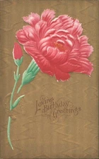 Flowers Red Carnation Flower with Bud,Loving Birthday Greetings Antique Postcard