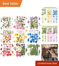 167 Pcs Real Dried Pressed Flowers for Elegant DIY Crafts - Multicolor Set