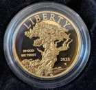 2023-W American Liberty High Relief $100 Gold Proof 1oz .9999 – OGP Box & COA