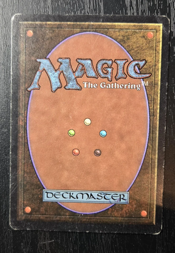 Mtg Unlimited Taiga Signed  - Image 3 of 4