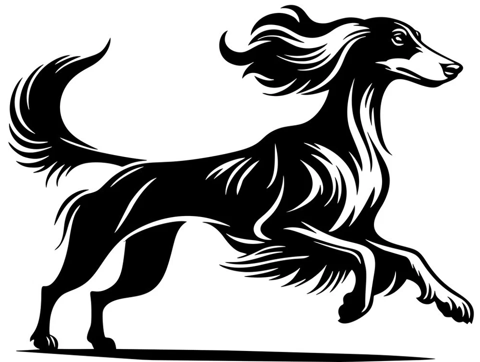 SALUKI Windhund Aufkleber - Saluki Autoaufkleber -Kontur - sticker #80 - Bild 1 von 3