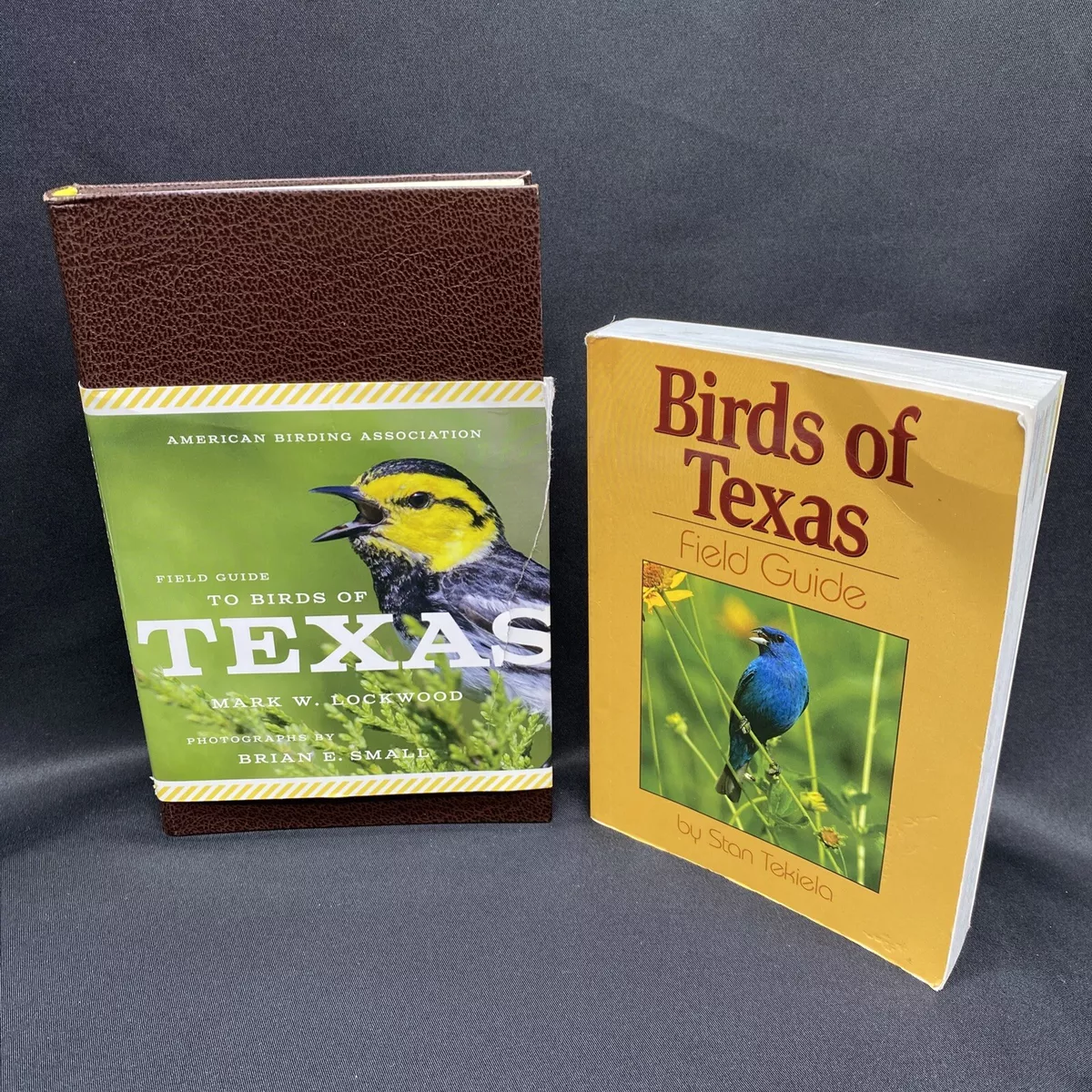 American Birding Association, Author at American Birding Association