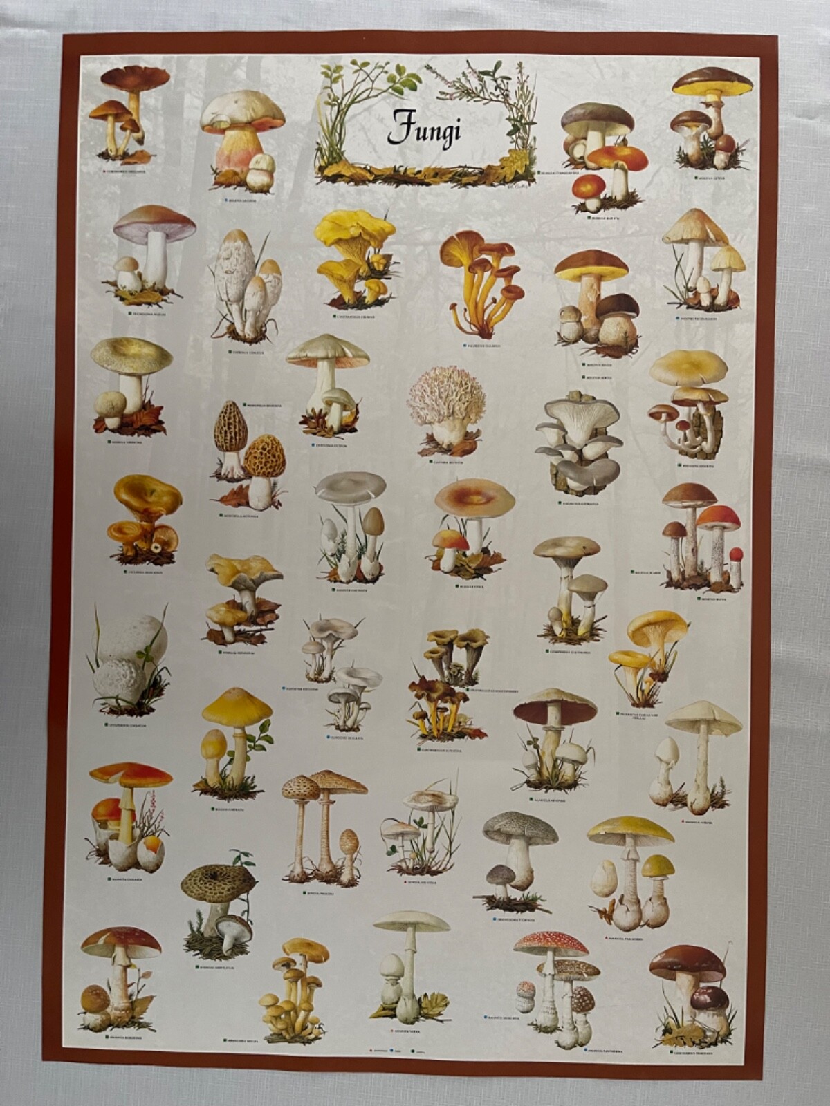 Picture 1 of 11