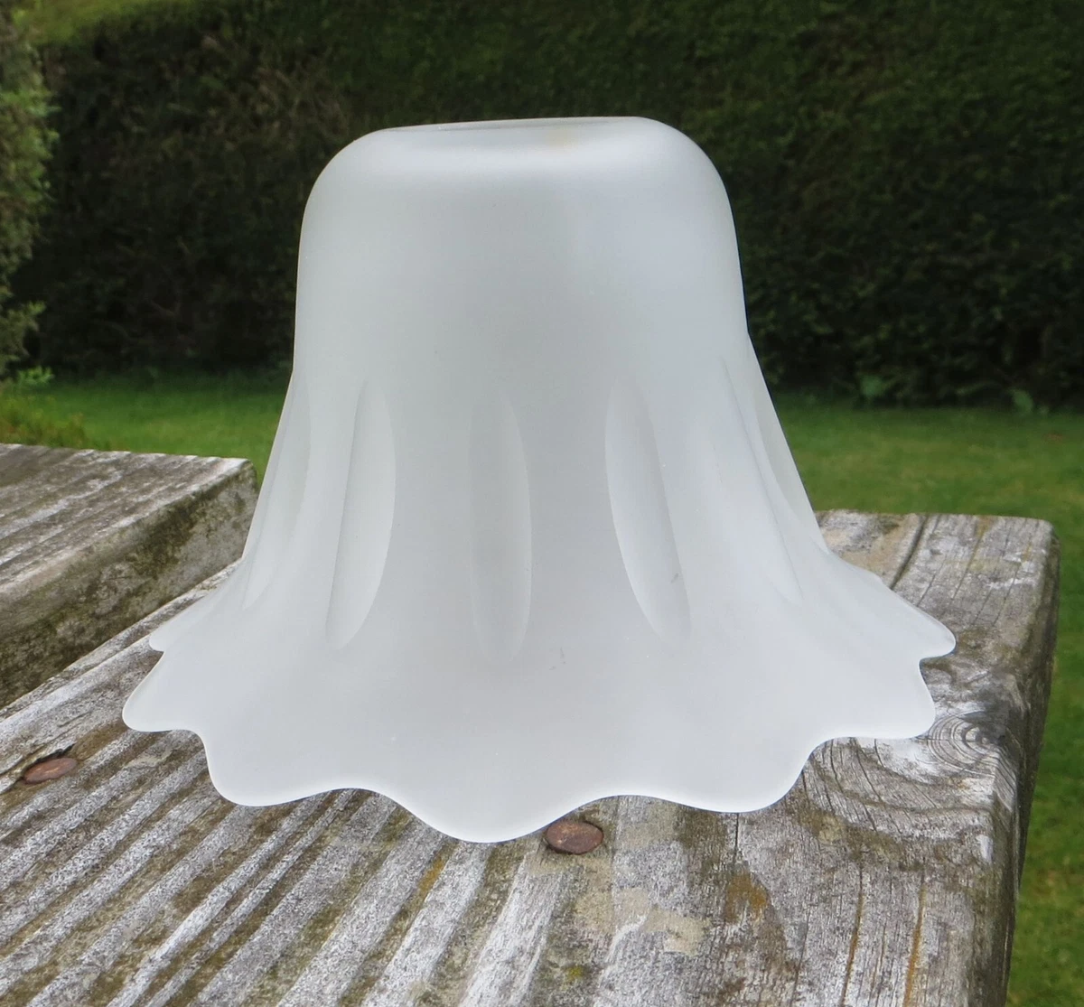 Frosted and Ribbed Tulip Shaped Glass Lamp Light Shade 6 Available