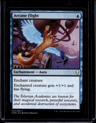 Magic the Gathering MTG Arcane Flight (43) Dominaria NM