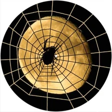 Slipmat Scratch Pad Felt for any 12" Turntable LP DJ Record Player SPIDER WEB 21