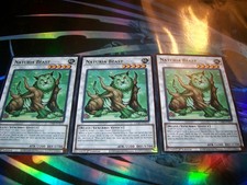 3x Naturia Beast 1st Edition Common L26D-ENX32 Yu-Gi-Oh!
