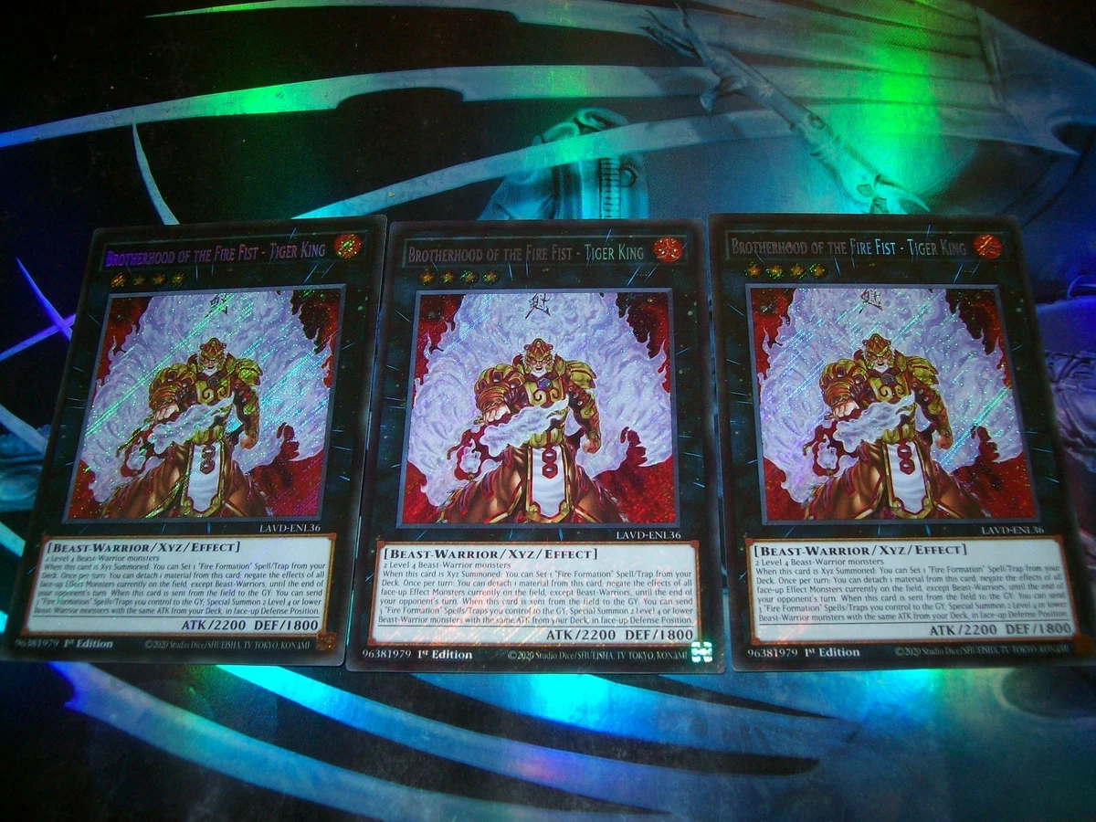 25+ Xyz Yu-Gi-Oh! TCG Secret Rare Individual Collectible Card Game