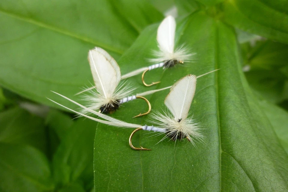 4 St. MAYFLY ADULT Maifliege # 10 Bachforelle Regenbogenforelle Döbel Forelle  - Bild 1 von 1