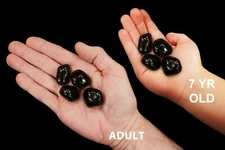 APACHE TEAR Polished 1" Set of 4 Rocks and Minerals Specimen Healing Crystals