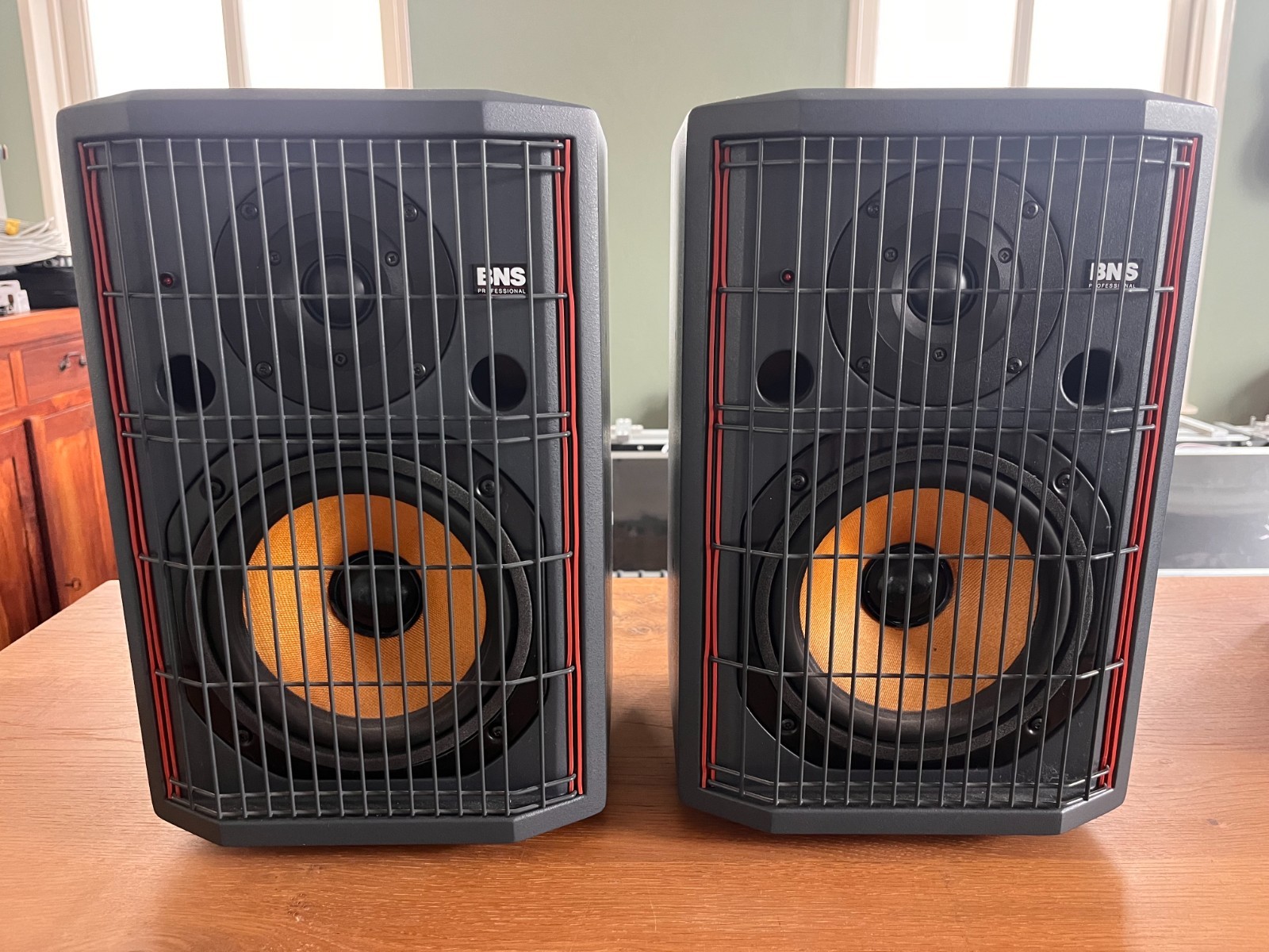 BNS A4 Professional Monitor speakers (Pair)