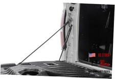 Hydraulic Tailgate Assist for Ford F-150 2004-2014 - Smooth, Safe 