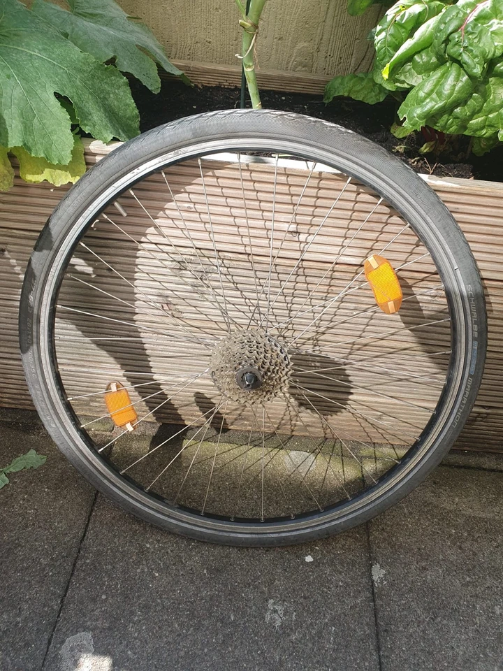 --- Shimano Hinterrad 700c (ETRTO 19-622) mit Schwalbe Reifen, Quick Release ---