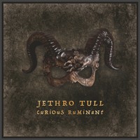Jethro Tull Curious Ruminant (Vinyl)