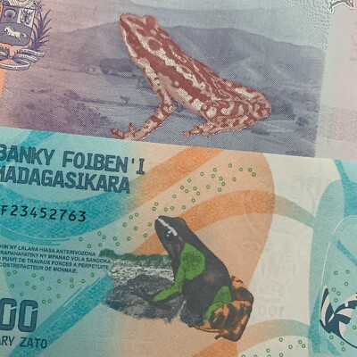 Two FROGS in Two Banknote Set. Madagascar & Venezuela Currency Money Lot CU UNC