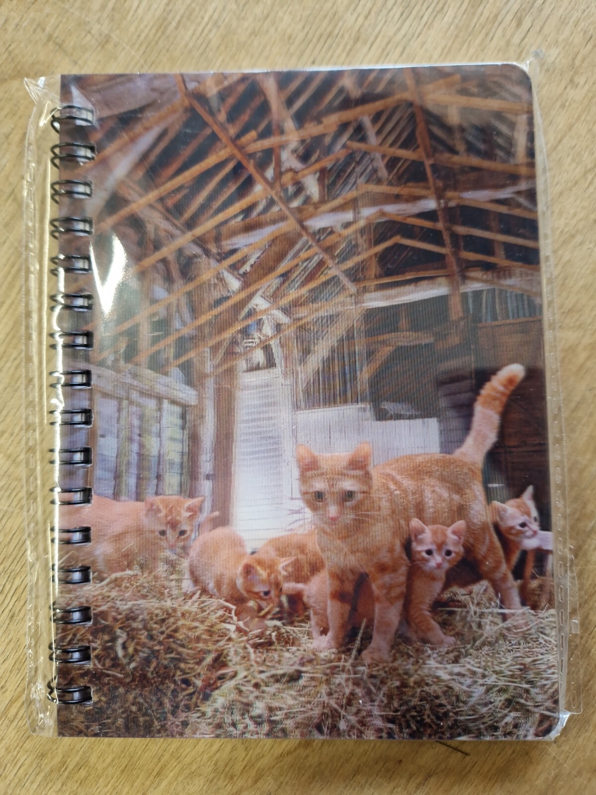 Ginger kittens notebook ginger cat with kittens Notebooks lined Notepad kitten