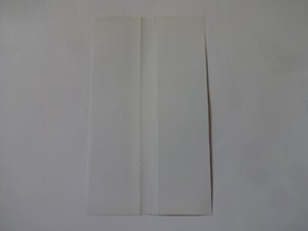 Sword & Sorcery Sega Saturn SS Micro Cabin 1996 T-5202G w/Obi Hagaki From Japan