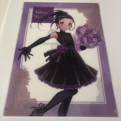 Medalist Hikaru Okami Clear File